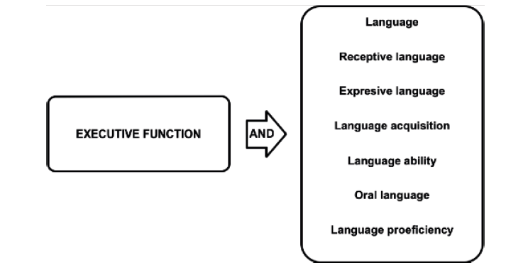 Gráfico del motor de búsqueda (elaboración propia)