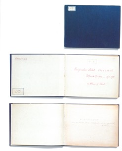 Texto, Pizarra

Descripción generada automáticamente