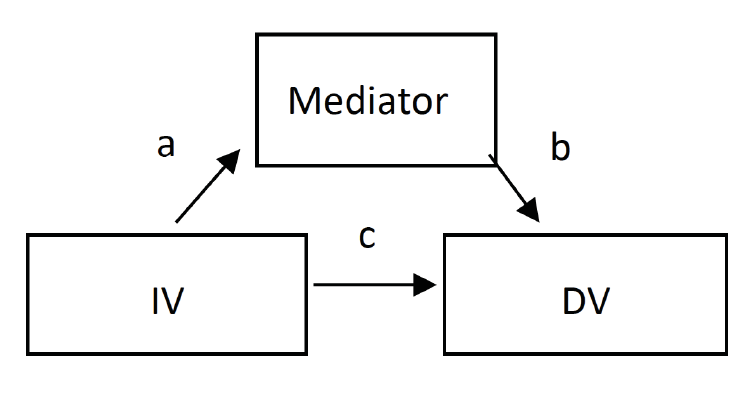 Indirect and Direct Effects of Mediator