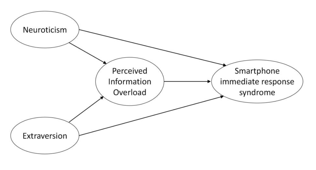 FIGURE 1. This is a research model.