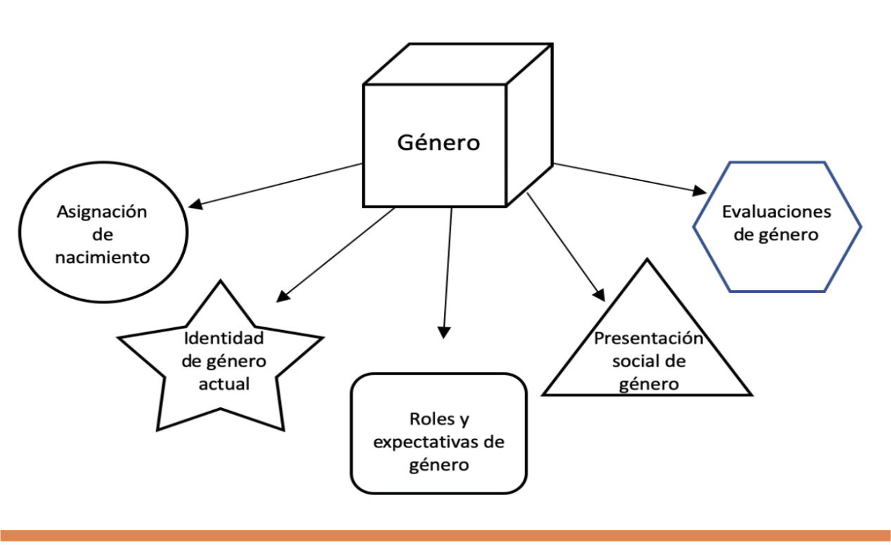Modelo multifactorial del género (Traducido de Tate et al., 2020)