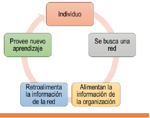 Ciclo del aprendizaje en red. Elaboración propia a partir de Rodríguez y Molero (2009, p. 77).