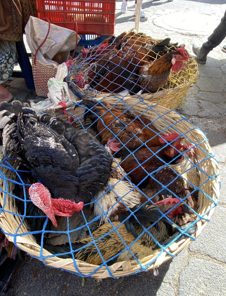 En el mercado de Chichicastenango (Quiché) puedes encontrar desde un crucifijo hasta una gallina viva.