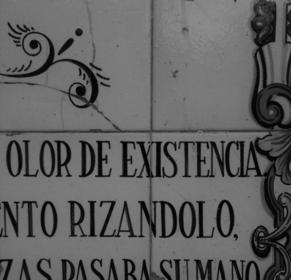 «Y había olor de existencia. / Un olor a gran sol descubierto […]». Vicente Aleixandre (1944-1953): «En la plaza», en Historia del corazón.