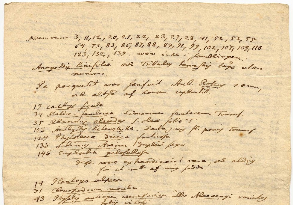 Imagen parcial de la Listas manuscritas de especímenes de Alstroemer de 1762