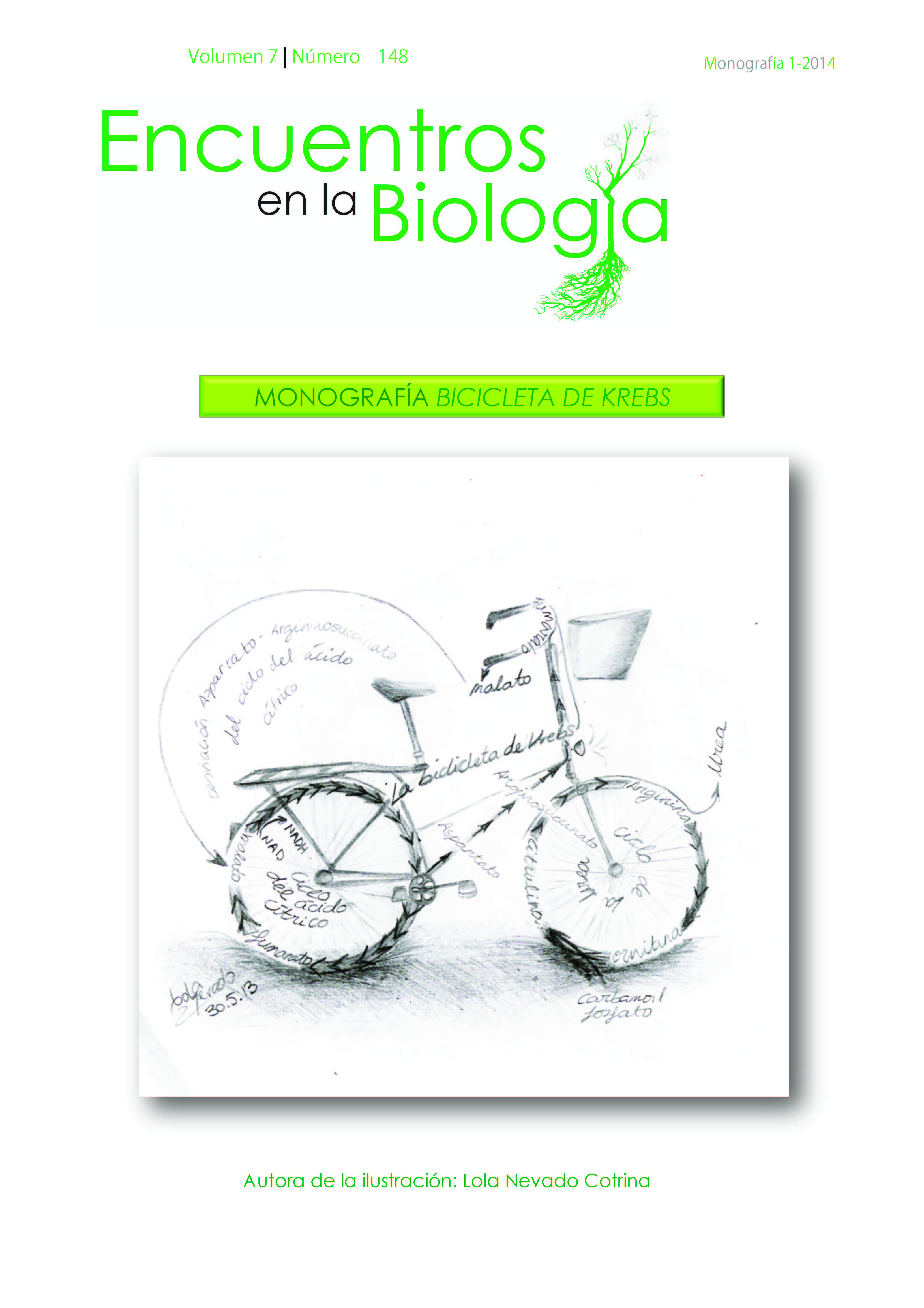 					Ver Vol. 7 Núm. 148 (2014): Monografía Bicicleta de Krebs 
				